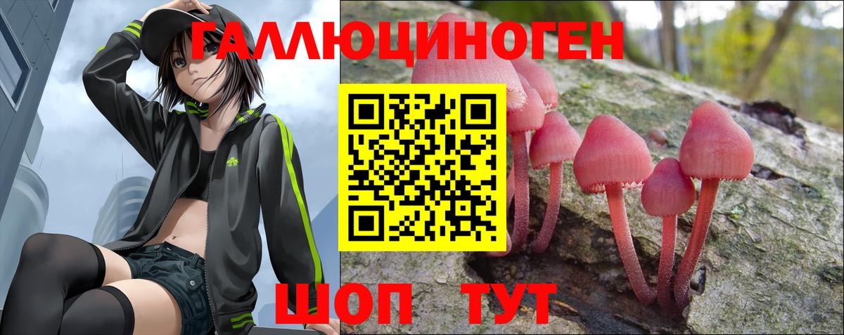 Псилоцибиновые грибы Psilocybine cubensis Кемерово