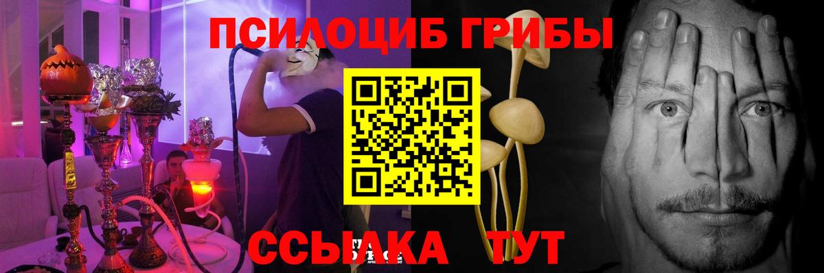 Кемерово  Псилоцибиновые грибы Psilocybe  Вход с VPN  Галлюциногенные грибы Cubensis 